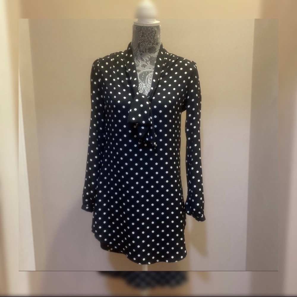 Forever 21 Small Polkadot Long Sleeve Dress